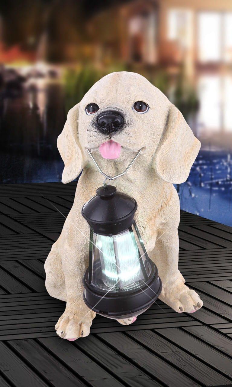 mutoni Lumière solaire  