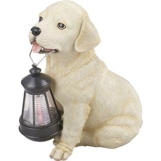 mutoni Lumière solaire  