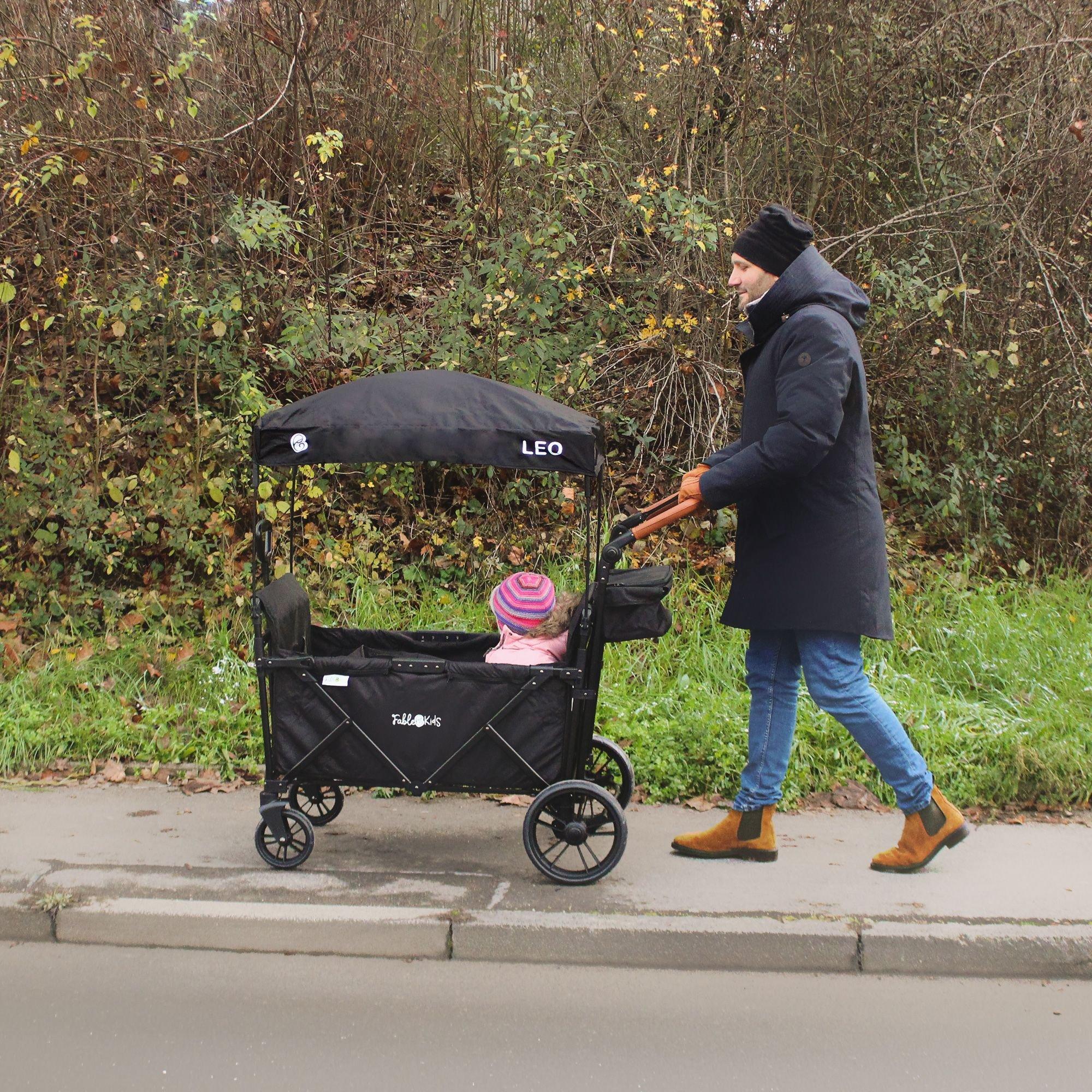 FableKids  Bollerwagen LEO X2Plus mit Dach faltbarer Transportwagen 