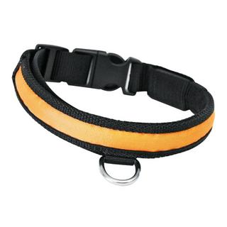 SwissPet  Collier lumineux nylon pour chien 