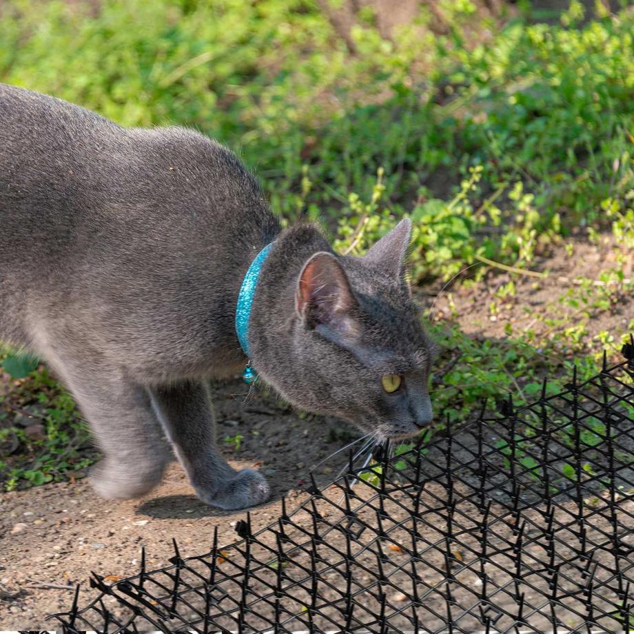 B2X  Schwarzer Stacheldraht 
