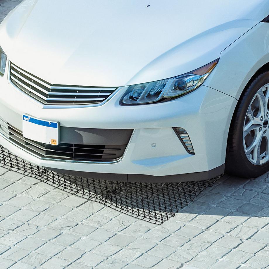 B2X  Schwarzer Stacheldraht 