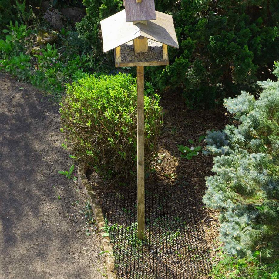 B2X  Schwarzer Stacheldraht 