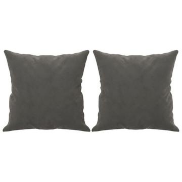 Oreiller décoratif velours