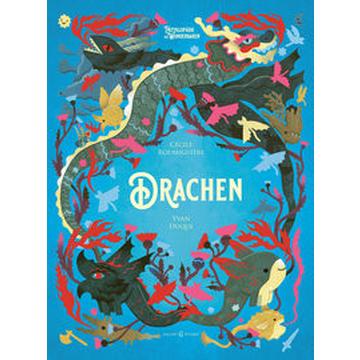 Drachen