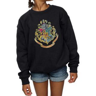 Harry Potter  Sweatshirt 