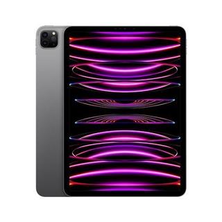 Apple  Apple iPad Pro 11" Puce Apple M2 512Go Gris Sidéral Wifi Fin 2022 