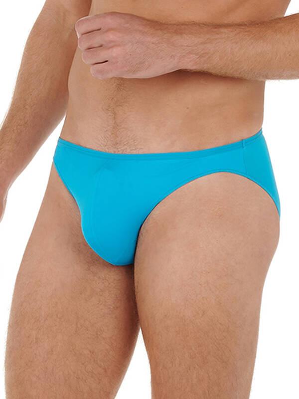 HOM  Plumes Micro Brief 