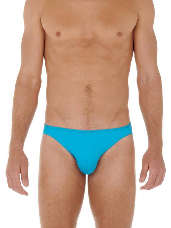 HOM  Plumes Micro Brief 