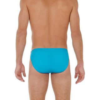 HOM  Plumes Micro Brief 