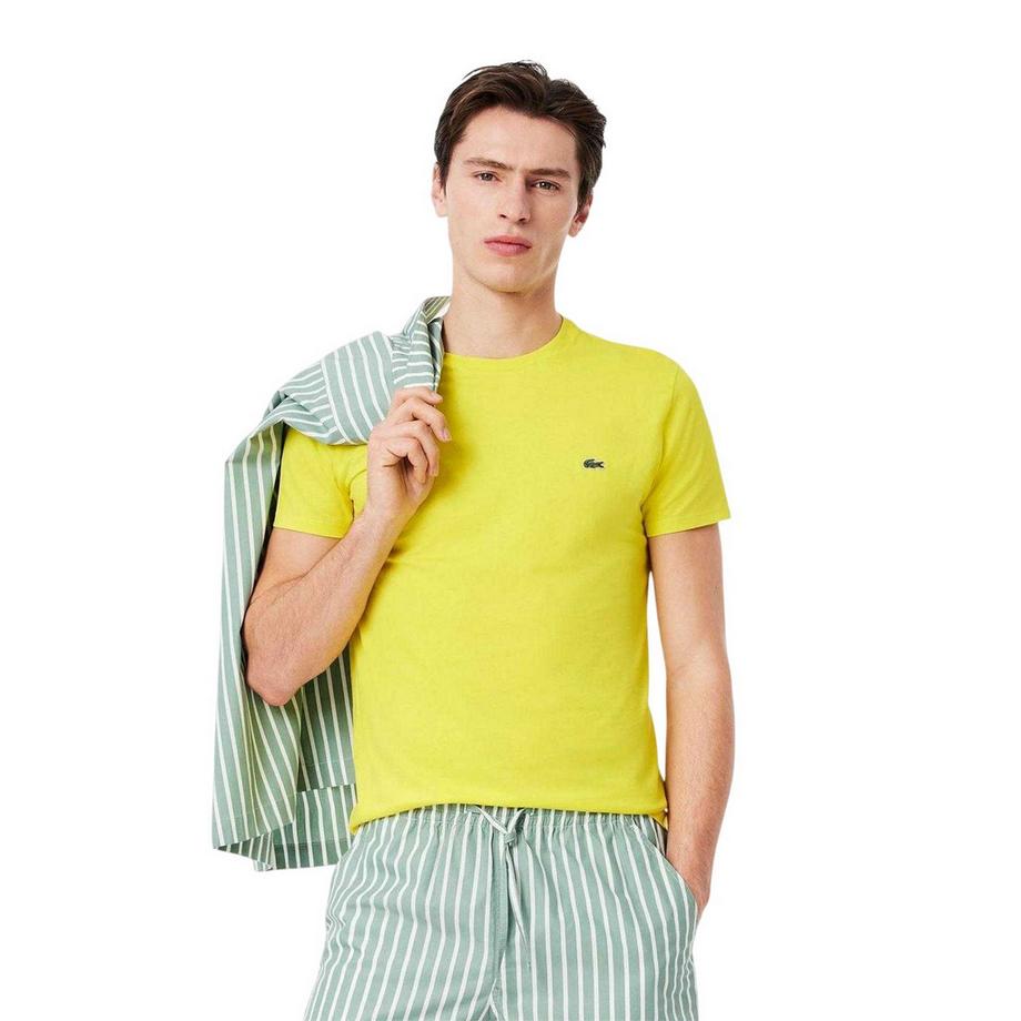 LACOSTE  Maglietta Ricamato Cotone Pima 