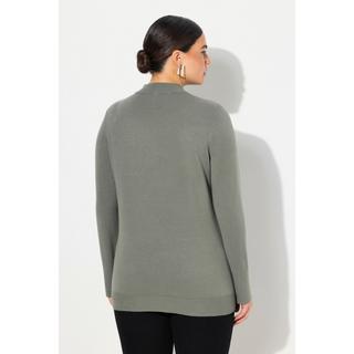 Ulla Popken  Pullover, Stehkragen, Langarm, Rippbündchen 