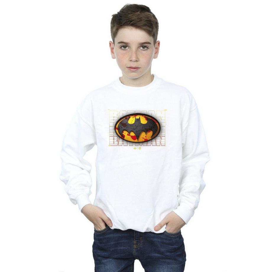 DC COMICS  Sweatshirt 