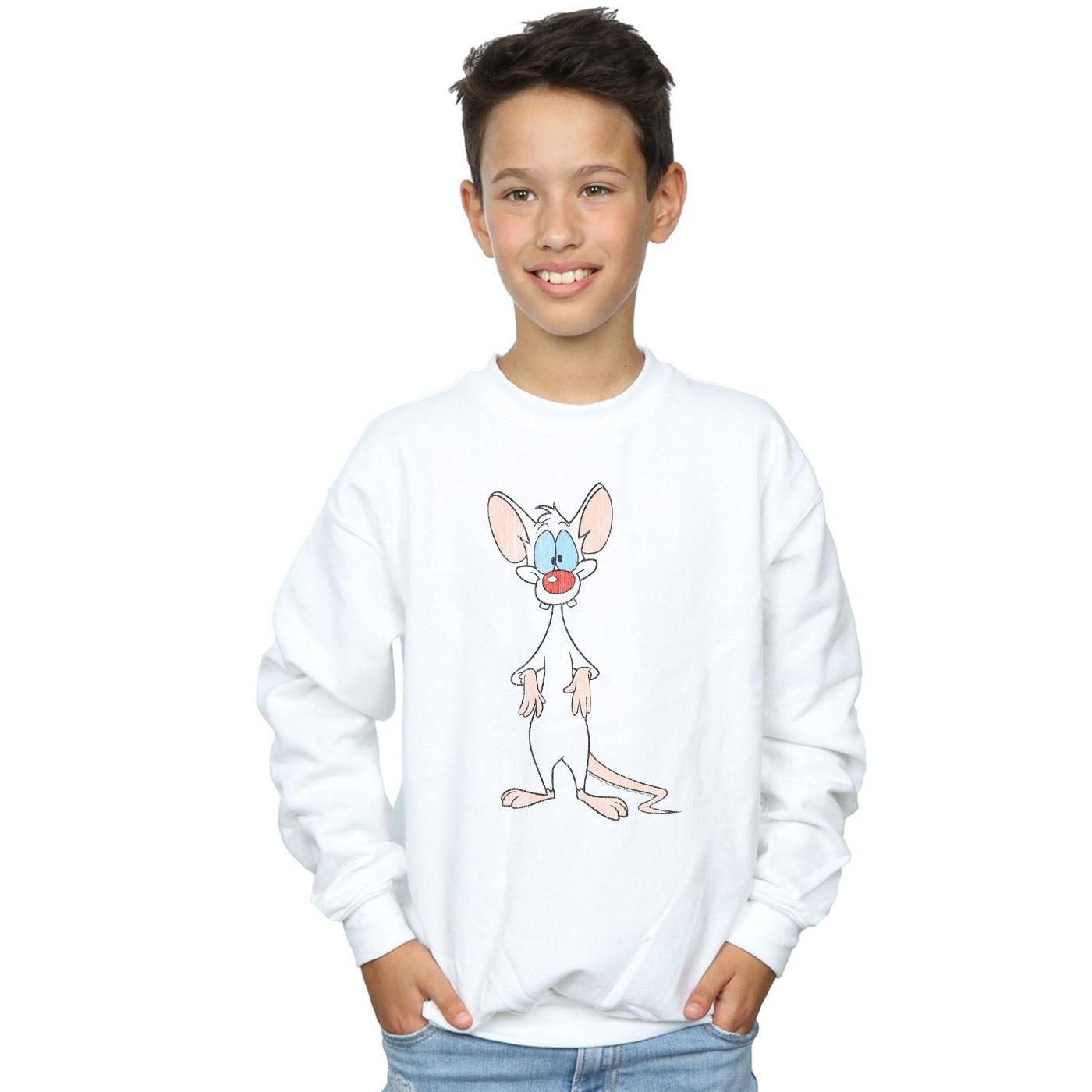 Animaniacs  Sweatshirt 