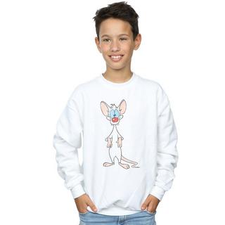 Animaniacs  Sweatshirt 