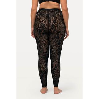 Ulla Popken  Strumpf-Leggings, Spitze 