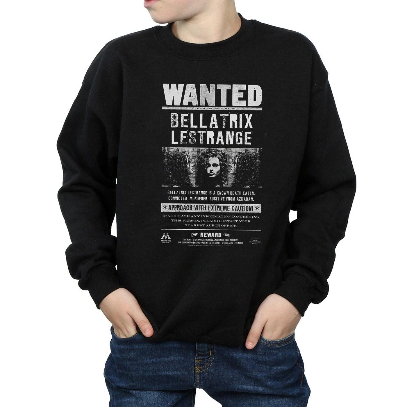 Harry Potter  Sweat WANTED 