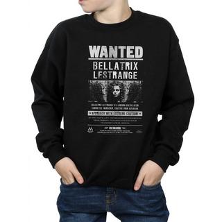 Harry Potter  Wanted Sweatshirt 