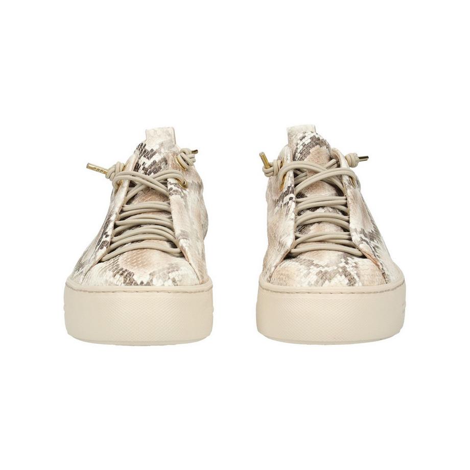 Paul Green Snake Print Sneaker Platform  