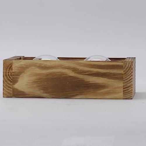 Alopini Vermehrungsstation 2 Stück Glühbirne Avocado Vase Glas Eichel Vase Für Blumen Terrarium Jar  