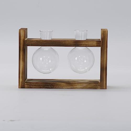 Alopini Vermehrungsstation 2 Stück Glühbirne Avocado Vase Glas Eichel Vase Für Blumen Terrarium Jar  