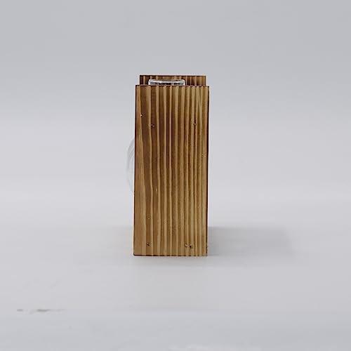 Alopini Vermehrungsstation 2 Stück Glühbirne Avocado Vase Glas Eichel Vase Für Blumen Terrarium Jar  