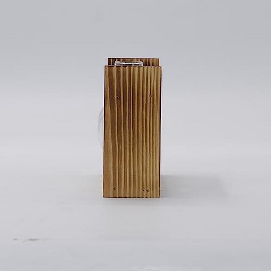 Alopini Vermehrungsstation 2 Stück Glühbirne Avocado Vase Glas Eichel Vase Für Blumen Terrarium Jar  