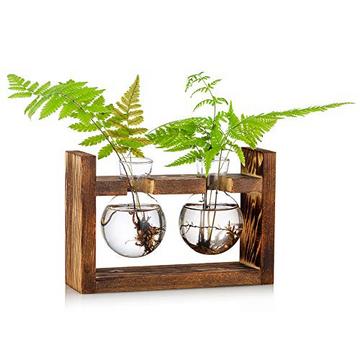 Station de propagation 2 pièces ampoule avocat Vase verre gland Vase pour fleurs Terrarium pot planteur avec support d'étagère en bois