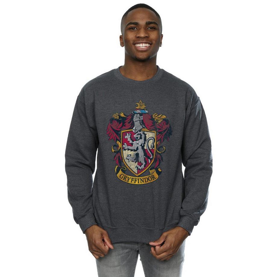 Harry Potter Gryffindor Stemma Felpa  