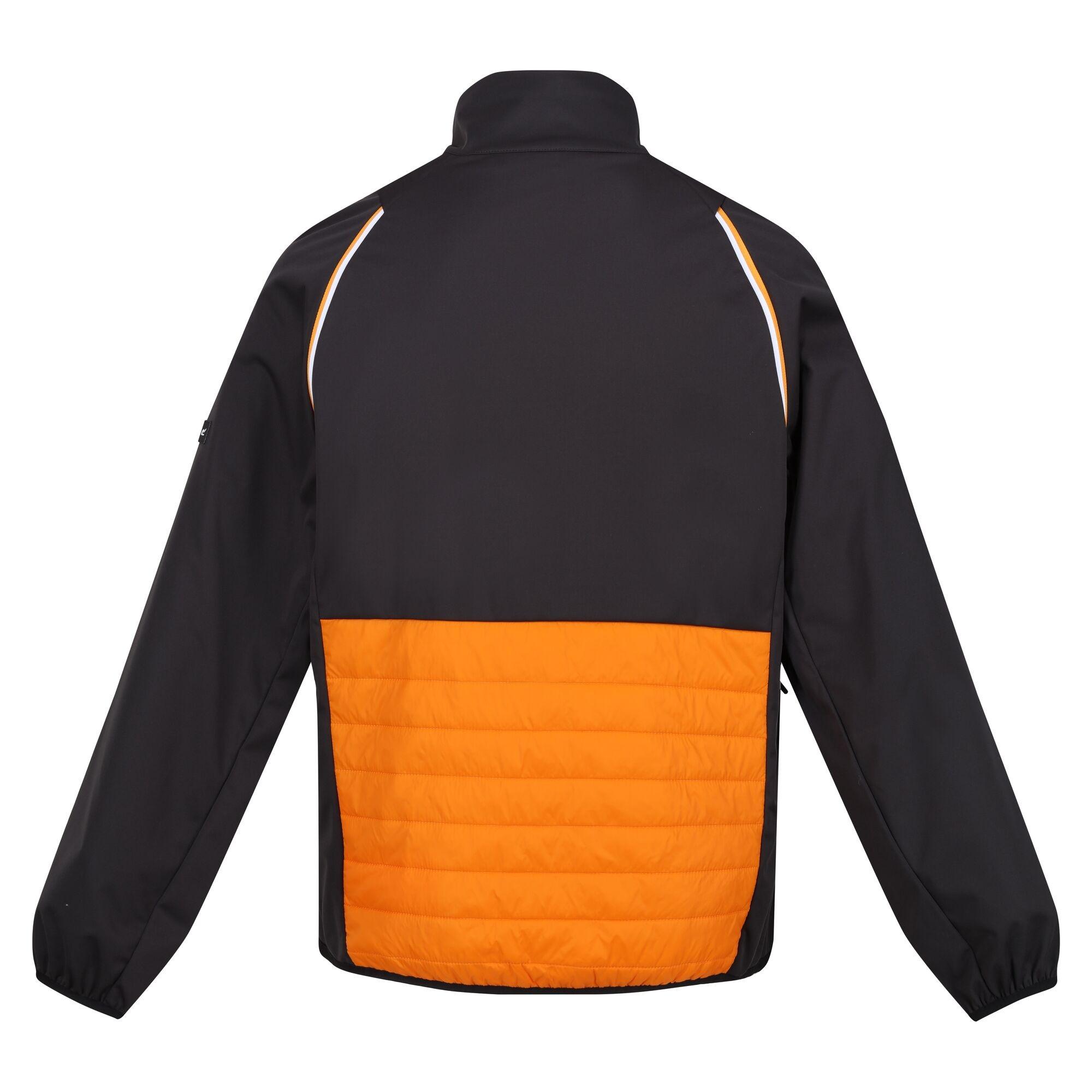 Regatta  Steren Hybrid Softshelljacke 