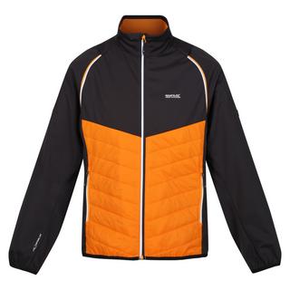 Regatta  Steren Hybrid Softshelljacke 