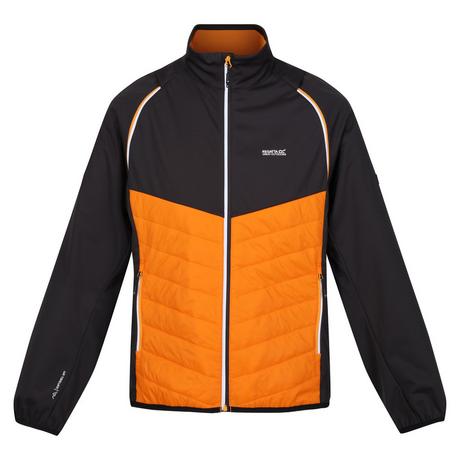 Regatta  Veste softshell STEREN HYBRID 