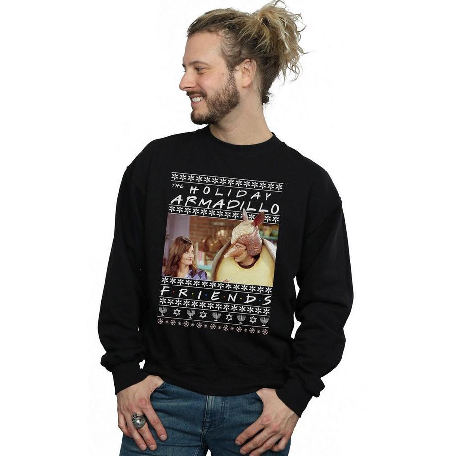 Friends Holiday Armadillo Sweatshirt  