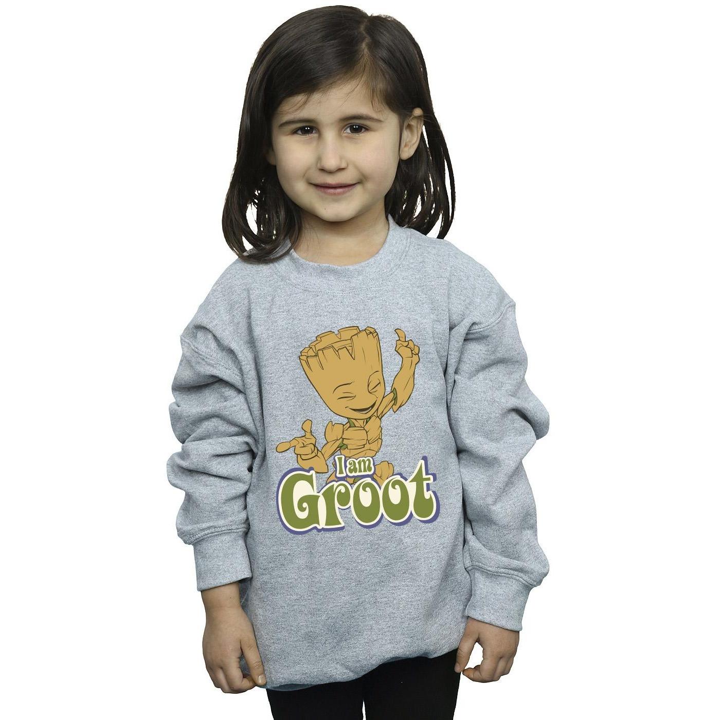 Guardians Of The Galaxy  Sweatshirt 
