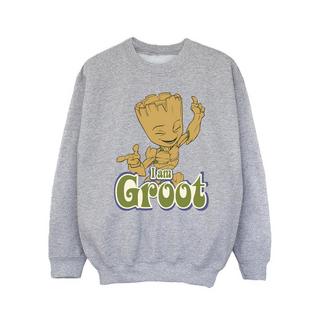 Guardians Of The Galaxy  Sweatshirt 