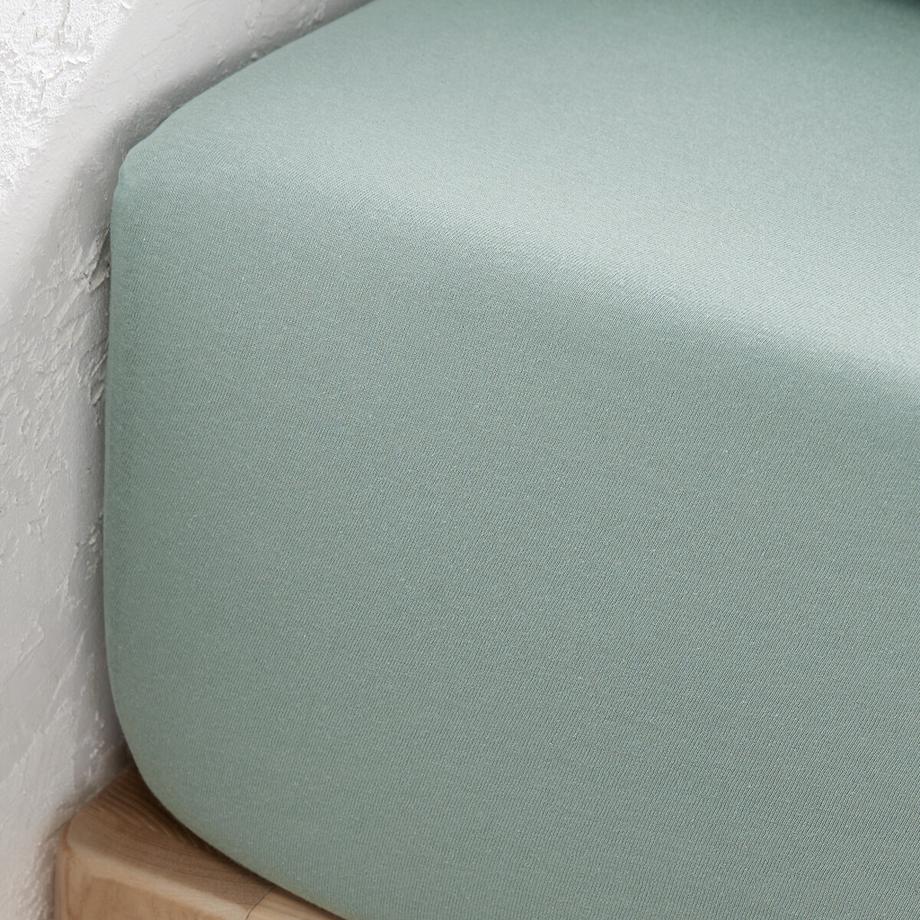 La Redoute Intérieurs Drap housse Scenario Jersey Coton  