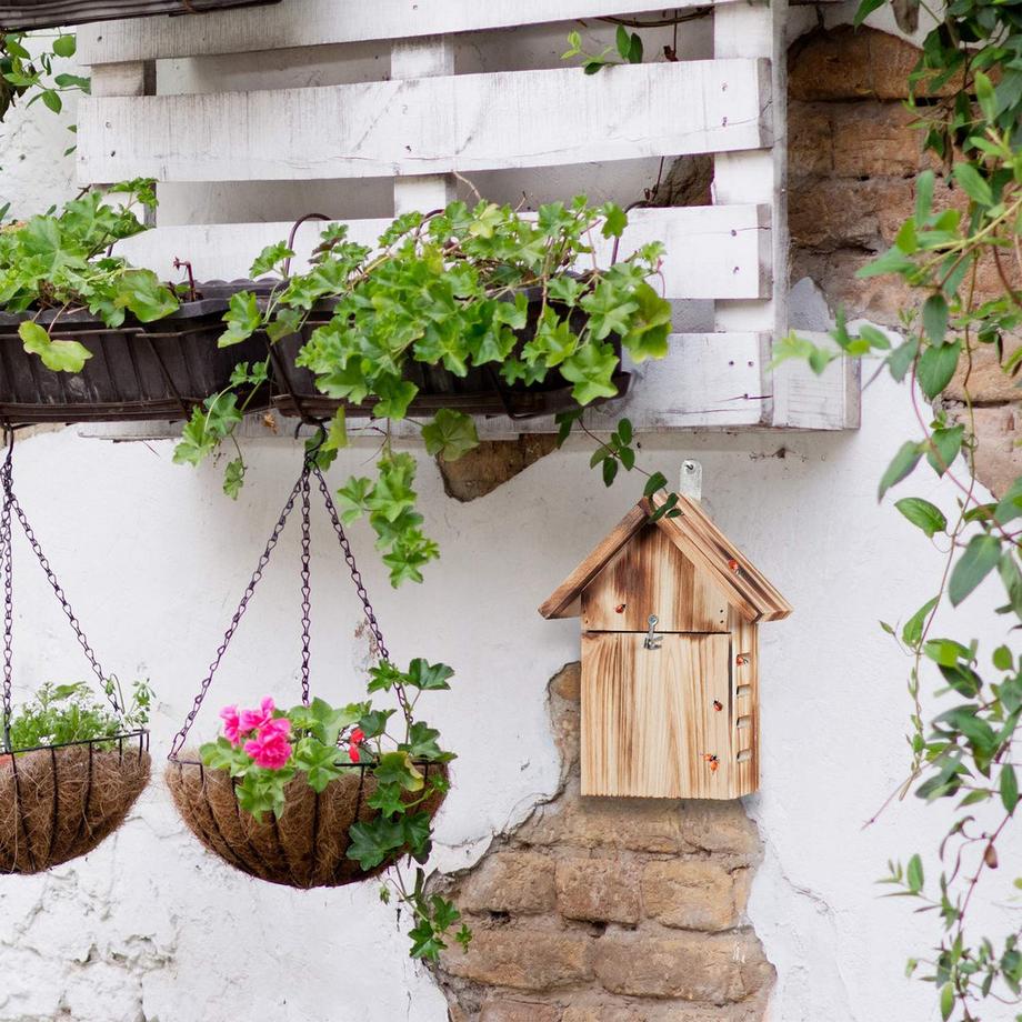 Northio  Maison de coccinelle en bois 
