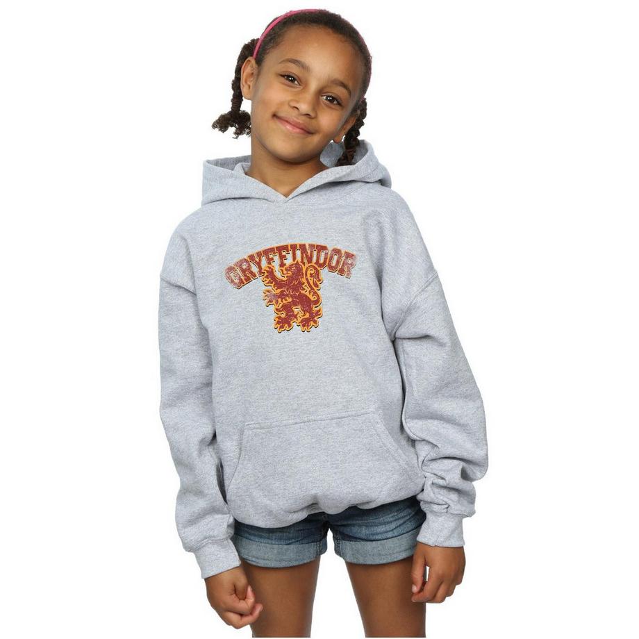 Harry Potter  Gryffindor Kapuzenpullover 