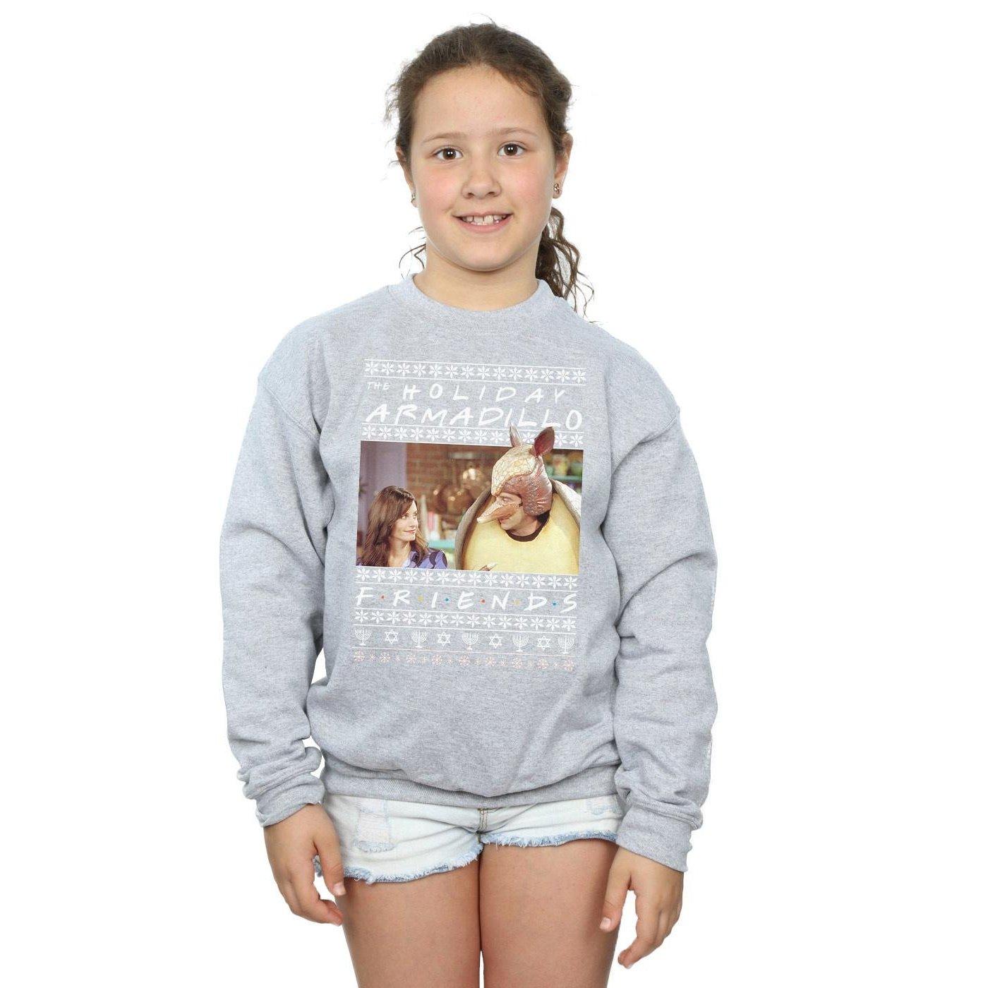 Friends  Holiday Armadillo Sweatshirt 