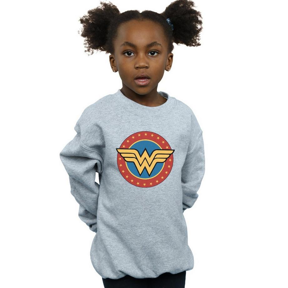 DC COMICS  Sweatshirt 
