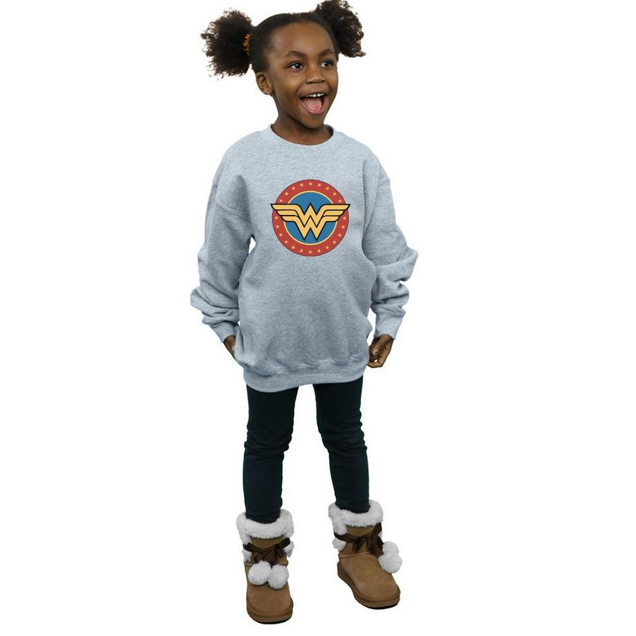 DC COMICS  Sweatshirt 