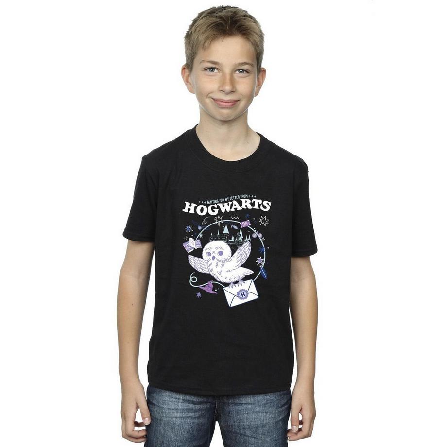 Harry Potter  Letter From Hogwarts TShirt 