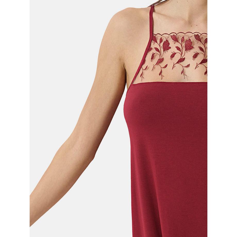 Lisca Gloriosa Nuisette  