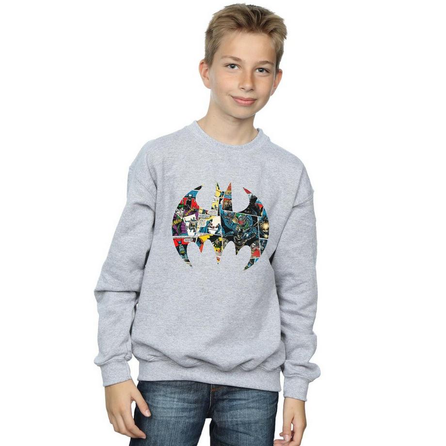 DC COMICS  Sweatshirt 