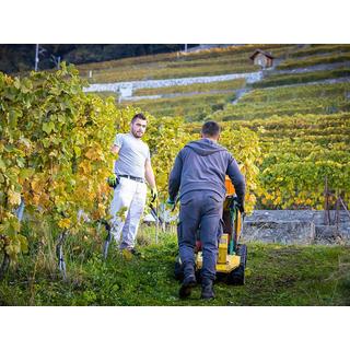 Smartbox  Weinverkostung und Kellerbesichtigung in Lavaux - Geschenkbox 