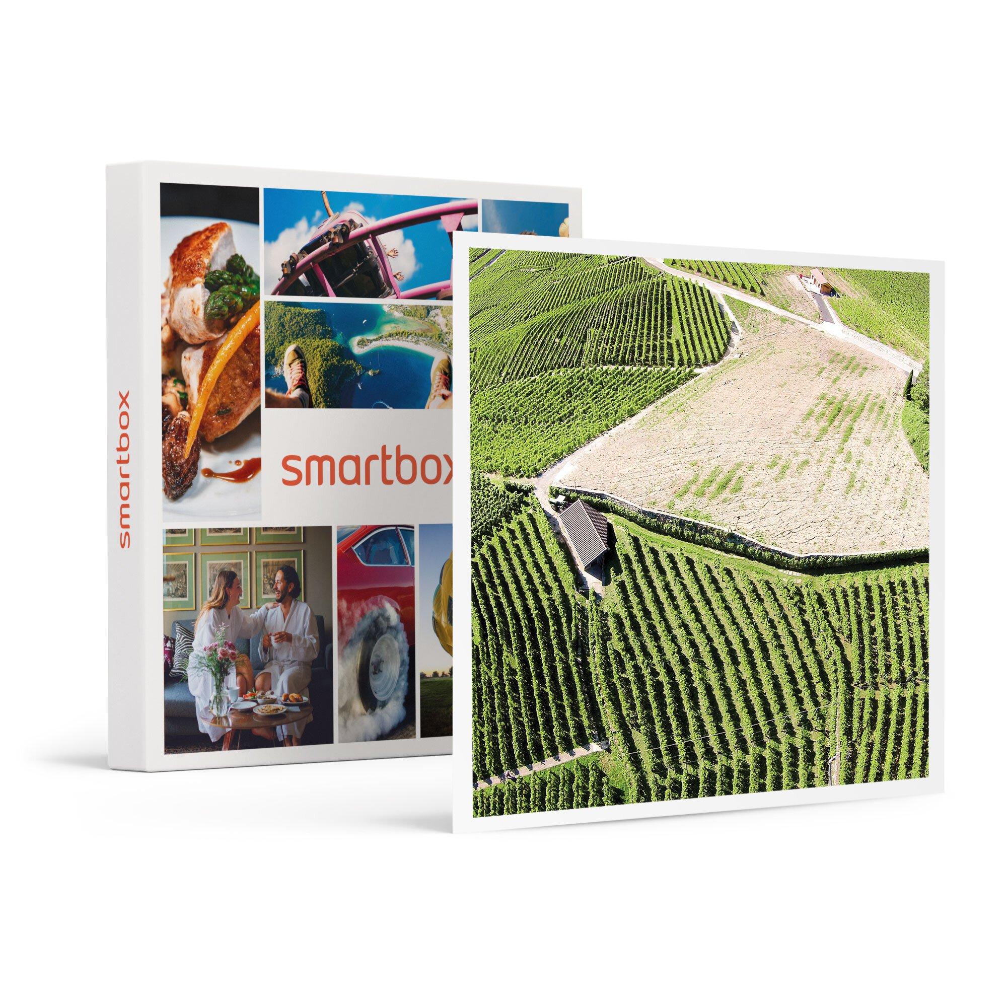 Smartbox  Degustazione di vini e visita alla cantina a Lavaux - Cofanetto regalo 