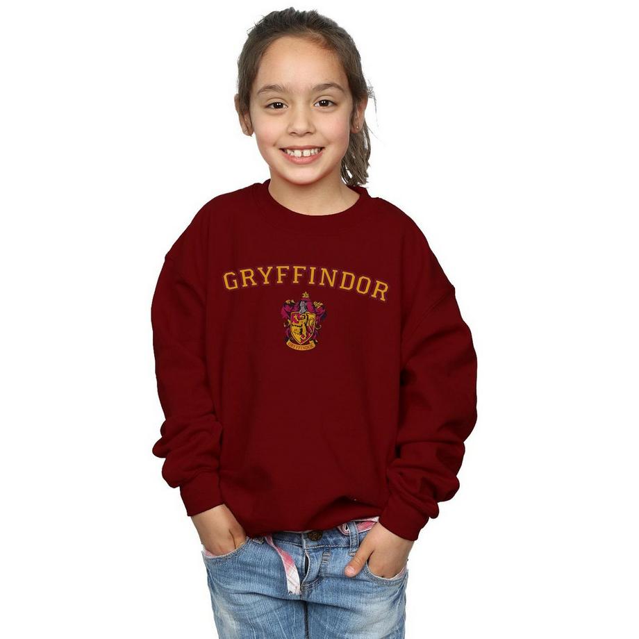 Harry Potter  Sweat GRYFFINDOR 