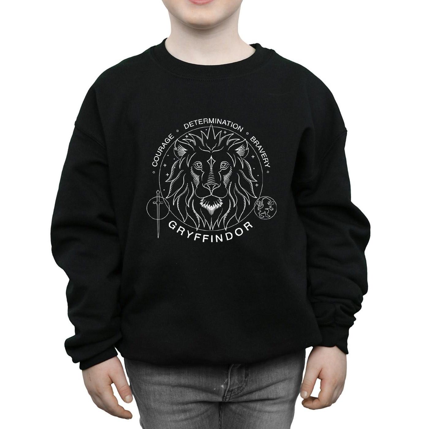 HARRY-POTTER  Gryffindor Sweatshirt 