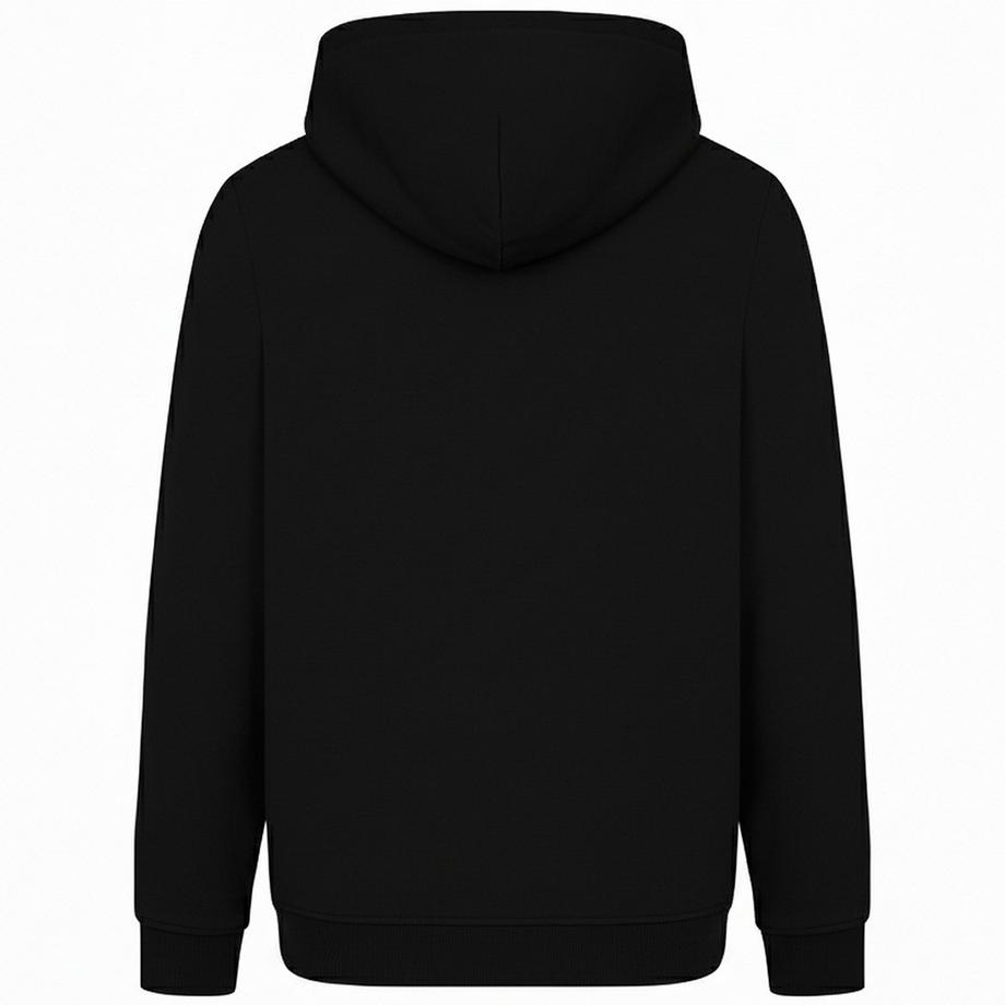 Amplified  Sweat à capuche motiftyle Mauvais présages WOLF 