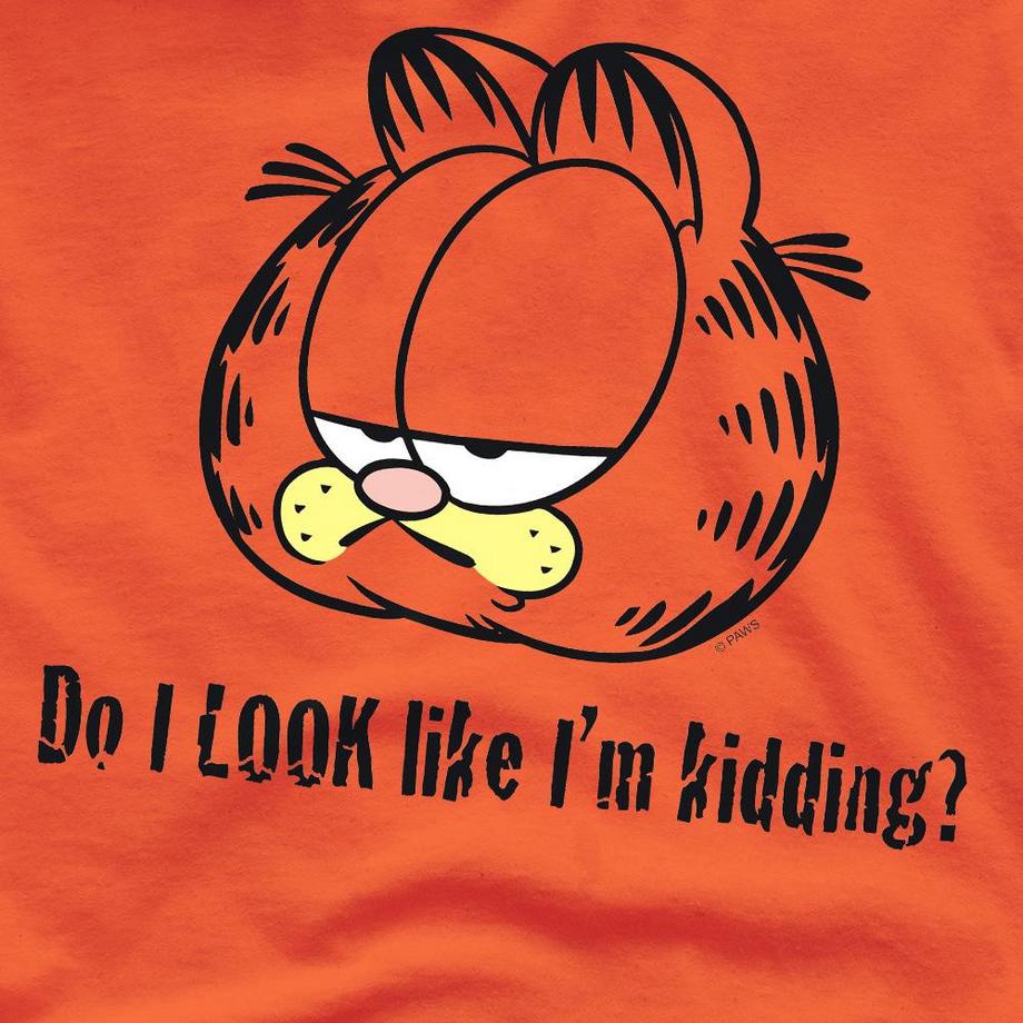 Garfield T-Shirt Do I Look Like I'm Kidding  
